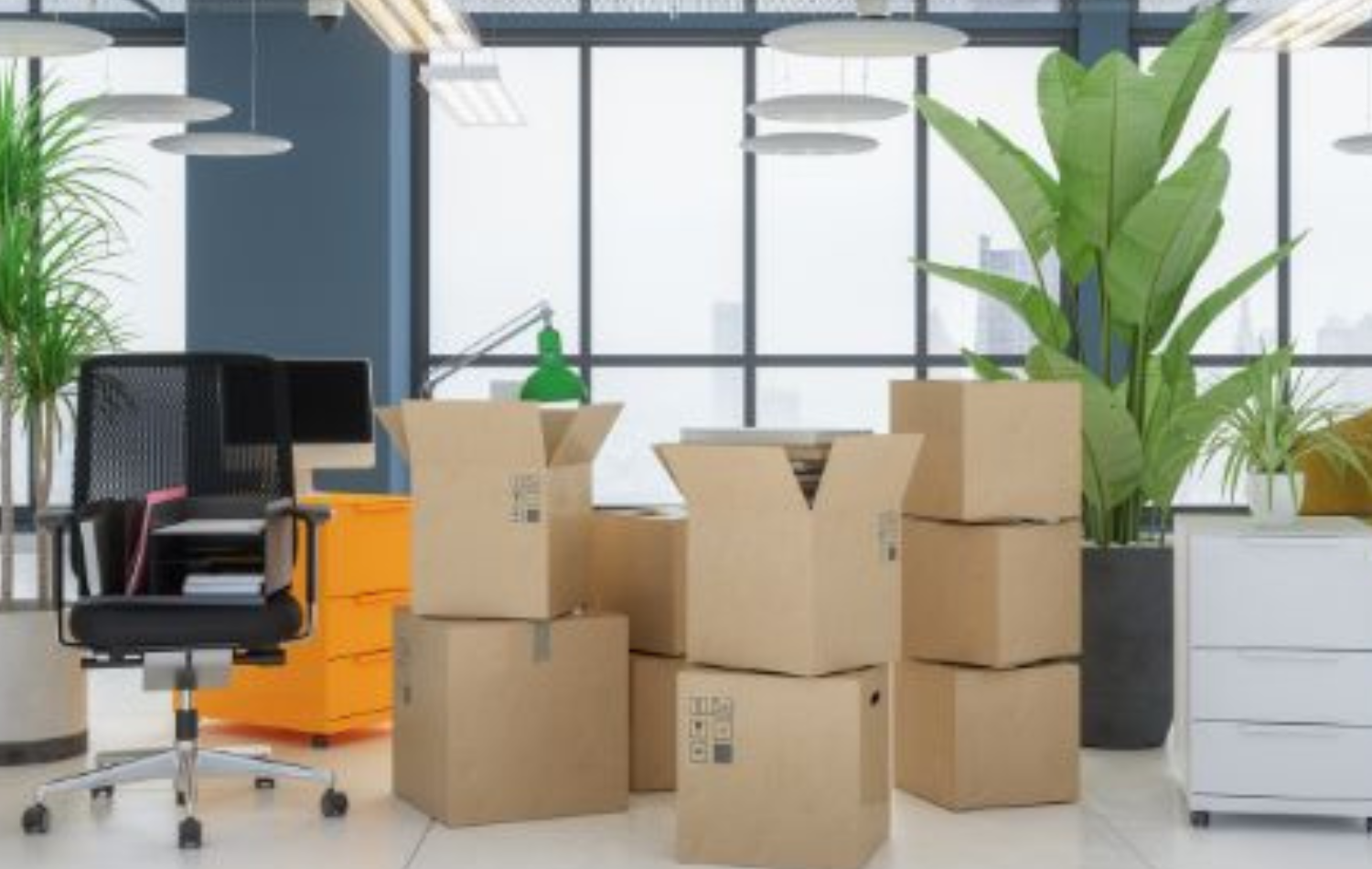 Packaging & Supply_20251218_150539_0008